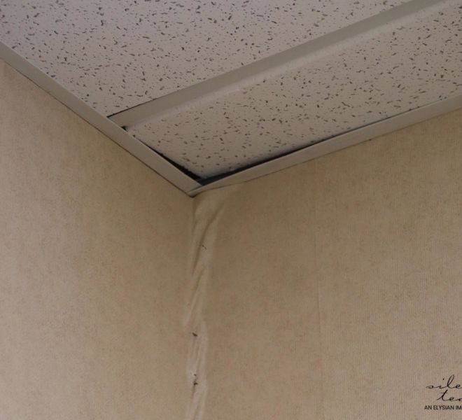 Dickerson Child Advocacy Center- Corner Ceiling Damage