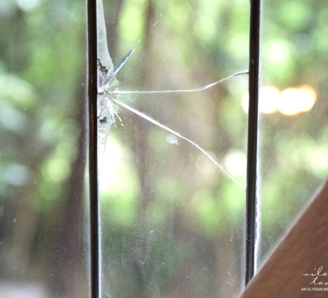 YWCA- Broken glass on window